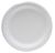 Paper Plates 7
