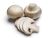Fresh Mushrooms (box)