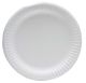 Paper Plates 7